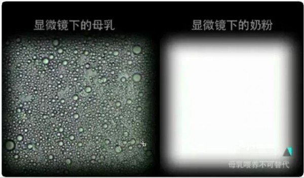 母乳储存不当，宝宝吃后容易腹泻！吸出的母乳需这样储存！