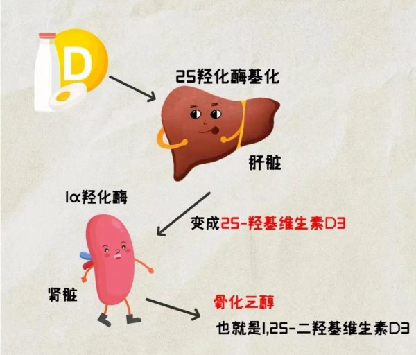 维生素D补充剂怎么选？