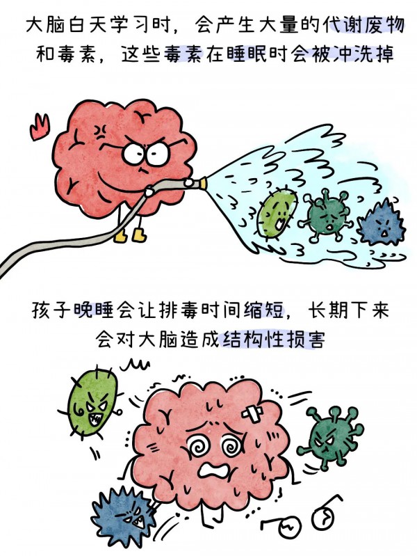 后悔现在才知道，孩子越晚睡，大脑受伤害越严重