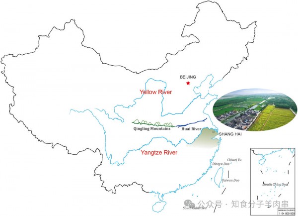 更适合中国人的地中海饮食—江南饮食
