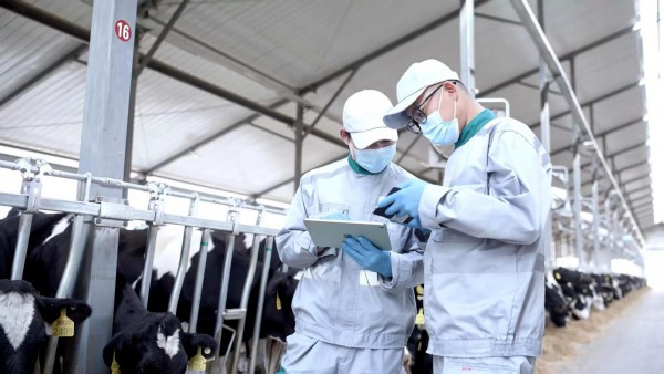 伊利“八赴”进博会：展示全球合作成果，开启新一轮国际合作！