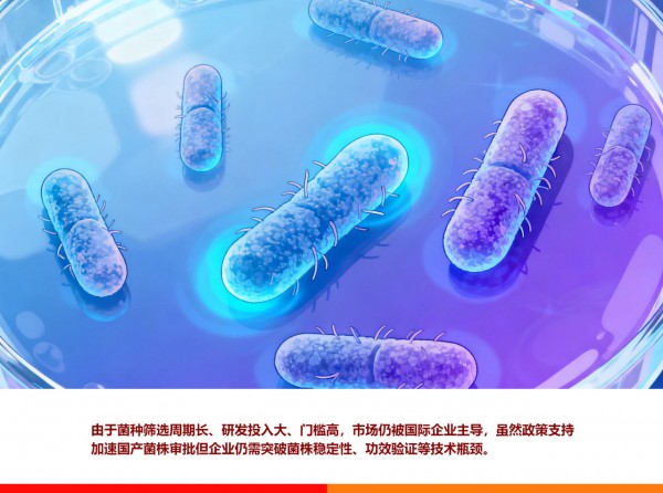 进口菌株主导婴幼儿益生菌市场，国产正凭“平价与本土化”追赶