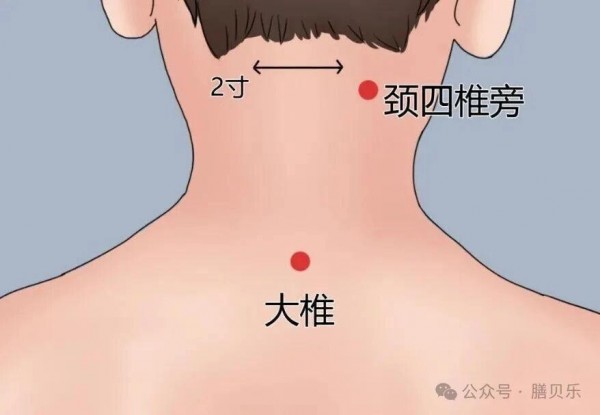 鼻炎难缠？膳贝乐提醒：一定要把孩子这个部位揉通了！