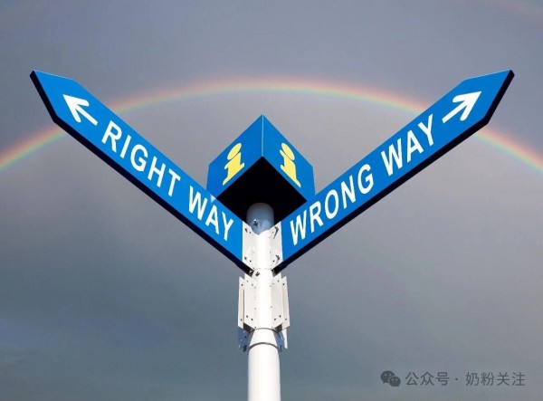 聚焦进博，洞察国际乳企在华三大策略！