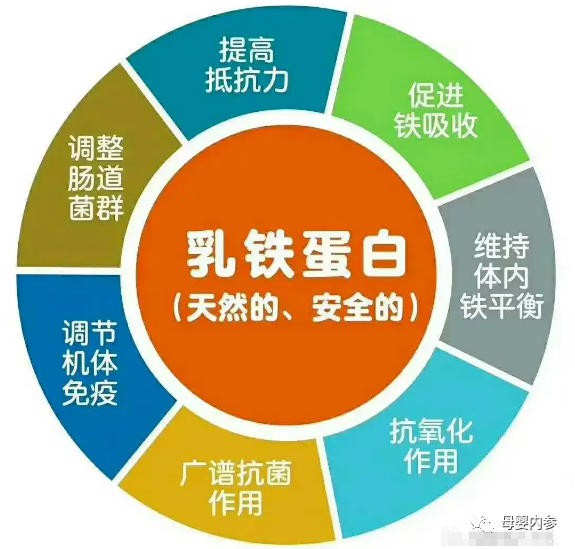 为什么，一桶、两桶的买乳铁蛋白，吃了没有用！？两箱、三箱的买乳铁蛋白，吃了才有效果！？