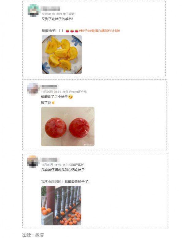 女子一口气吃3个柿子，痛到进医院，医生提醒：不能混吃、不能空腹吃