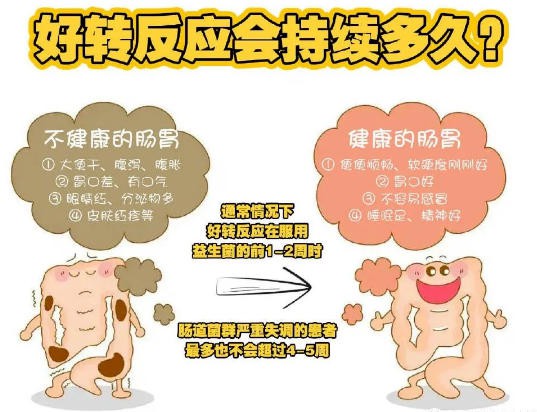 为什么益生菌要坚持吃三个月以上效果才会更好呢？看完后你就明白了！