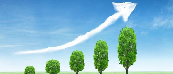 新店新公司新加盟，头部母婴连锁加速“跑马圈地”？