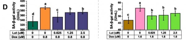 这种降尿酸的明星成分,还能延缓血管衰老! 这种降尿酸的明星成分,还能延缓血管衰老!