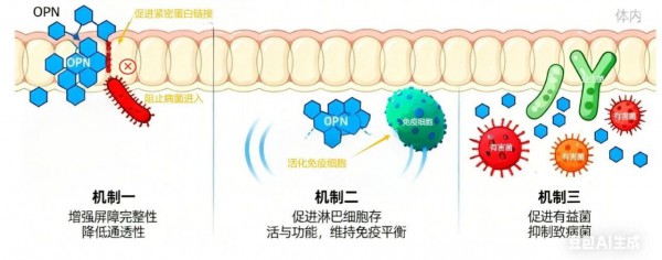 营养前沿 | 免疫“新星”OPN！飞鹤、金领冠、君乐宝、蒙牛、辉山…为何都在解锁它！