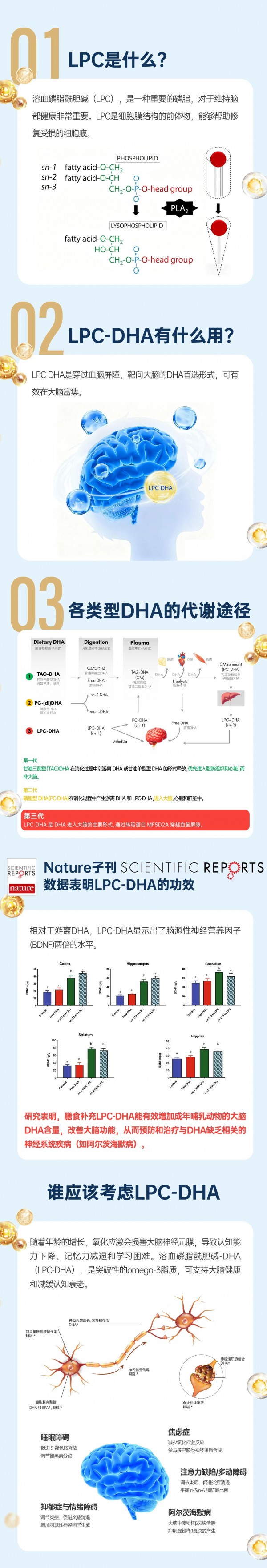 品牌洞察 | 千元“液体脑黄金”风潮——挪威NYO3锚定谁在买单? 品牌洞察 | 千元“液体脑黄金”风潮——挪威NYO3锚定谁在买单?