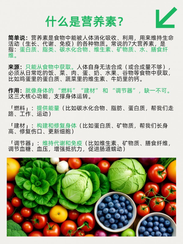 建议收藏：揭秘人体运转的底层逻辑！从能量到修复，7大营养素全解析。