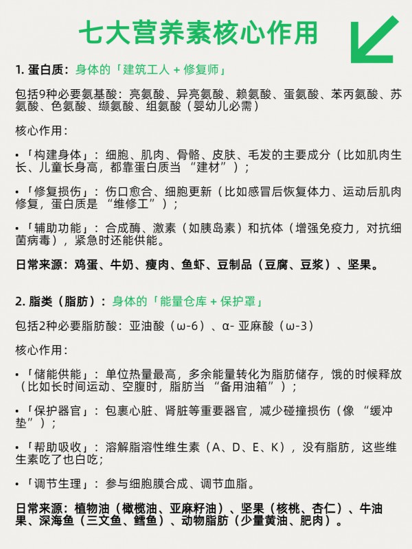 建议收藏：揭秘人体运转的底层逻辑！从能量到修复，7大营养素全解析。
