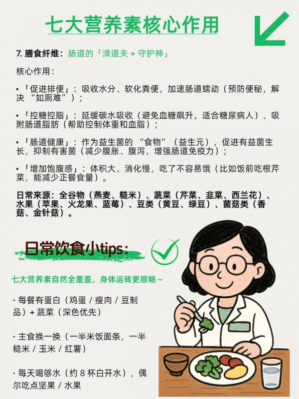 建议收藏：揭秘人体运转的底层逻辑！从能量到修复，7大营养素全解析。