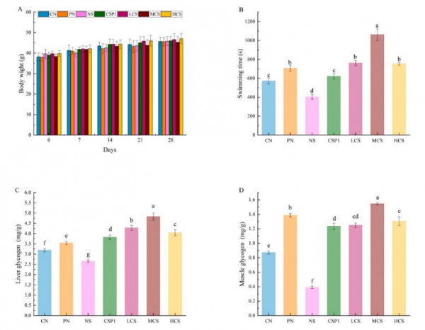 新发现！这种古老的药食同源能有效抵御疲劳