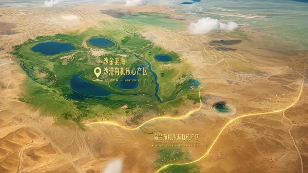 20年布局，特仑苏如何打造出这个“全球规模第一”？