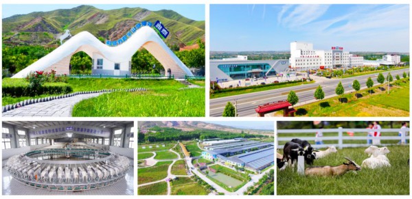 探索行业发展新可能！朵恩以“万人共创”重塑配方研发新范式！