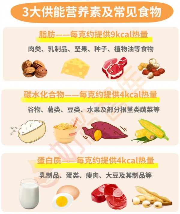 怎么看宝宝生长发育是否达标？最新专家建议“追体重方法”请查收~