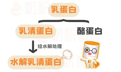 研究实证，水解小分子蛋白“更低敏”？