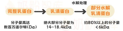 研究实证，水解小分子蛋白“更低敏”？