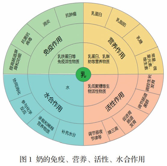 奶的功能认知进展：免疫作用、营养作用、活性作用、水合作用