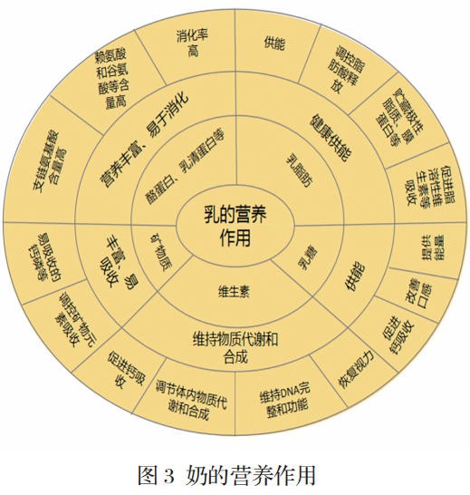 奶的功能认知进展：免疫作用、营养作用、活性作用、水合作用
