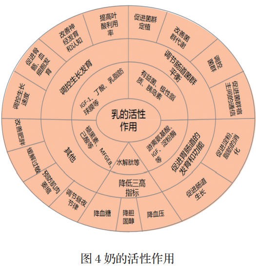 奶的功能认知进展：免疫作用、营养作用、活性作用、水合作用