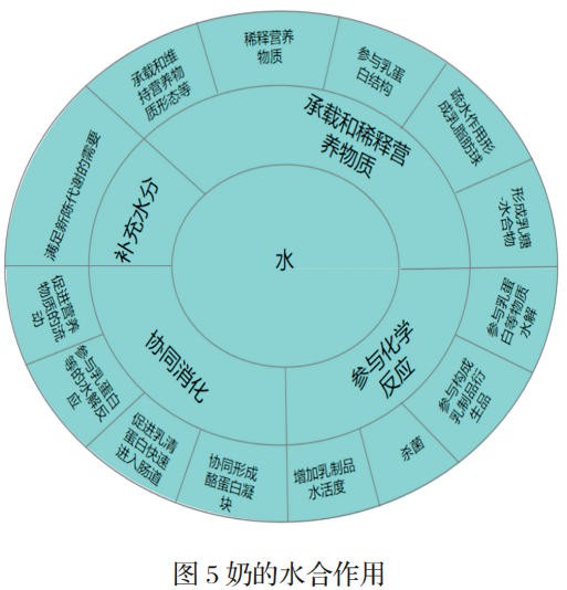 奶的功能认知进展：免疫作用、营养作用、活性作用、水合作用