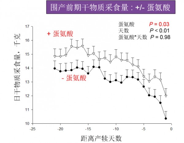 使用“杠杆”策略增加泌乳期收益——围产期蛋氨酸营养管理的科学实践