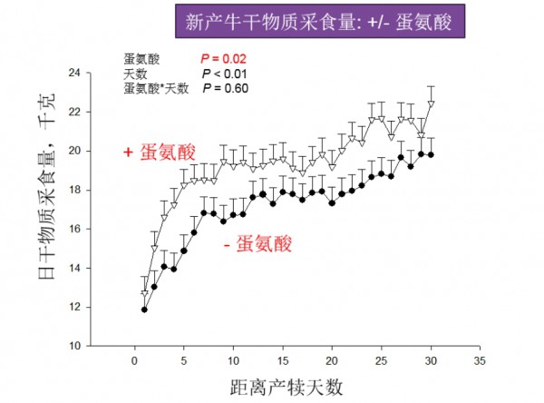 使用“杠杆”策略增加泌乳期收益——围产期蛋氨酸营养管理的科学实践