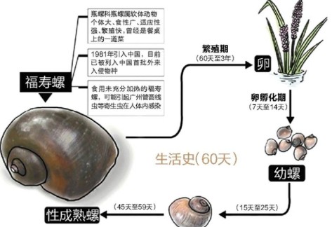 一口吃掉6000条寄生虫！这6种食物，再喜欢也要克制！