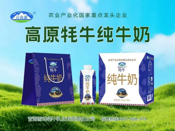 品类标杆！工信部首次全系统表彰，雪峰牦牛乳业（青海湖乳品）获评“全国工业和信息化系统先进集体”！