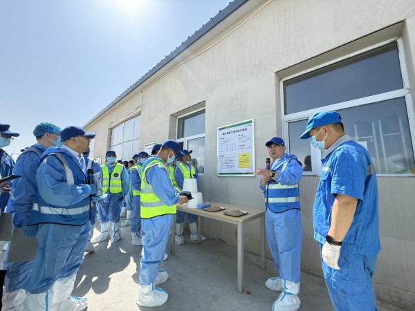 “奶牛金钥匙”蒙牛专场新疆行 解锁牧场降本增效新路径