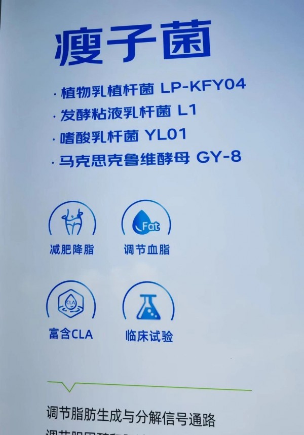 “体重管理年”引爆千亿市场！三大产品路线谁是赢家？