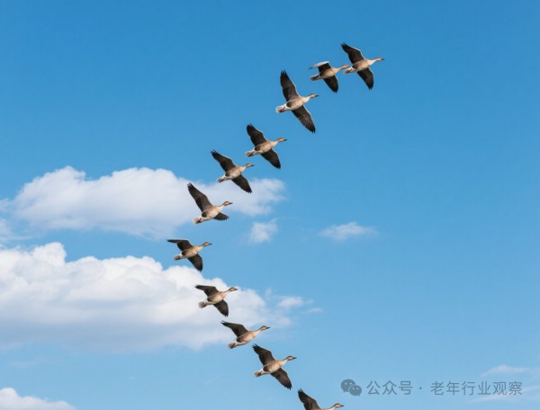 银发周报 | 多家银发经济企业IPO；重庆首家银发主题商业综合体开业；预计银发经济2035年规模达19.1万亿元