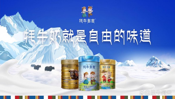 探秘高原好奶之源 | 邀您共赴香格里拉工厂游！