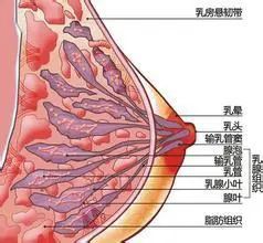 一个月堵五六次，怎么喂饱孩子？这6个催奶误区和4个实用方法，越早知道越好！