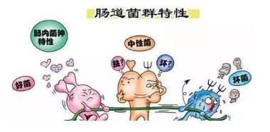 益生菌这么强大，只用来缓解腹泻和便秘，就亏大了！