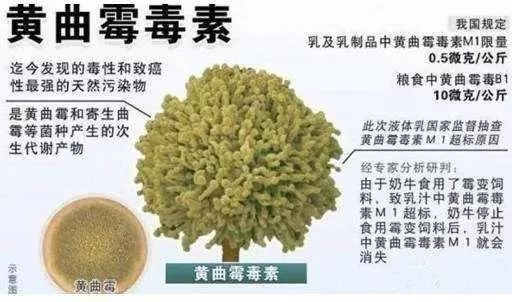 1毫克就能致癌，煮沸杀不死！有娃的一定要看