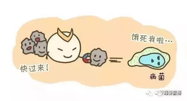 乳铁蛋白不仅增强免疫力还有10大好处！看完后，给自己的孩子补充起来！