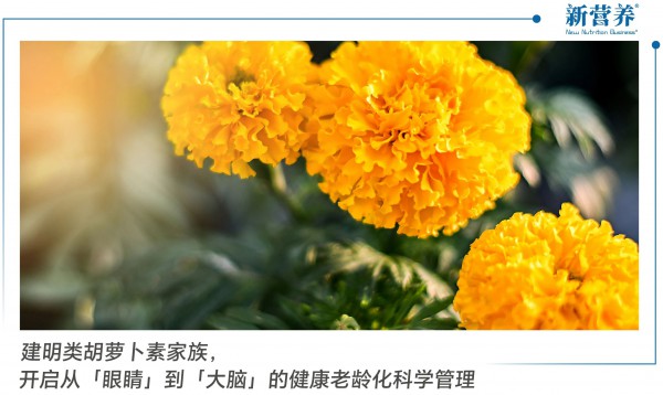 建明类胡萝卜素家族，开启从「眼睛」到「大脑」的健康老龄化科学管理