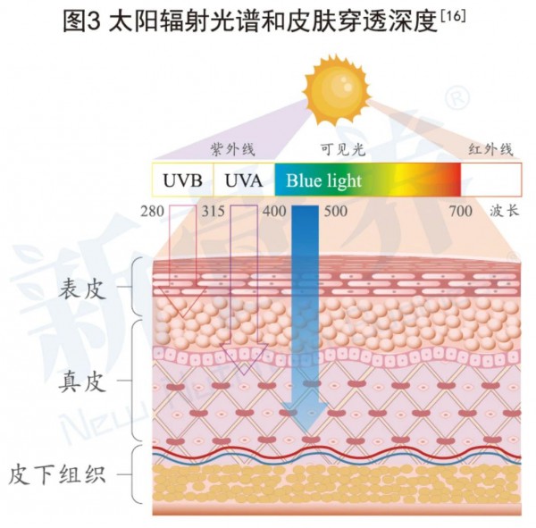 建明类胡萝卜素家族，开启从「眼睛」到「大脑」的健康老龄化科学管理