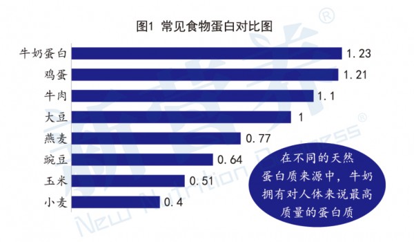 关注中老年人健康：产品开发的5大关键要点与营养解决方案
