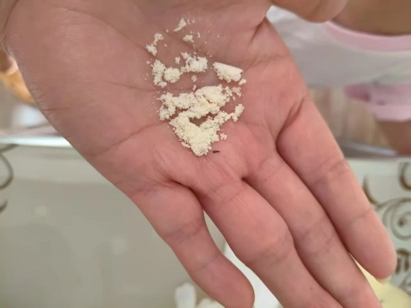 奶粉香=引虫香？高营养特性成害虫"孵化场"
