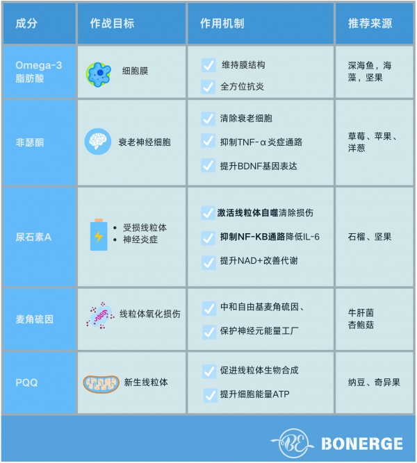 Nature实锤：我们的大脑竟“早衰”5.5个月！每个人或许都中招！