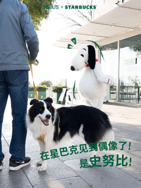 “低频高质”，IP跨界如何精准定位圈层文化？