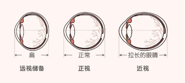 叶黄素的暴利和争议