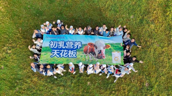 10款婴配粉、13款特配粉新批件；合生元、奇鹤、新西特等更多