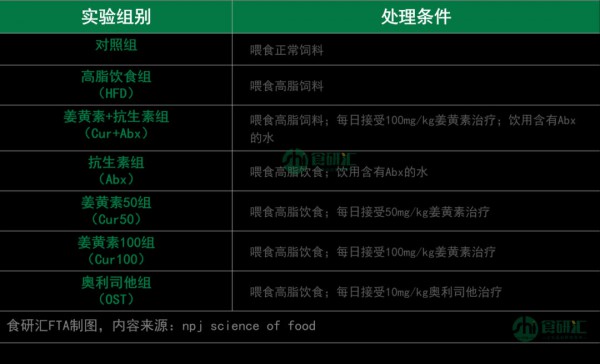 新发现！这种“抗炎高手”，可以抑制内脏脂肪堆积