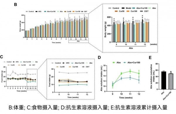 新发现！这种“抗炎高手”，可以抑制内脏脂肪堆积
